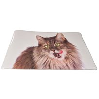 Mattskålsunderlägg katt