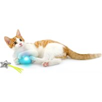 Smartykat Twinkle Time