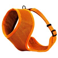 Kattsele Iris Orange S
