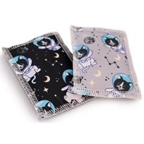 4cats Space Collection Kattmynta/silvervine