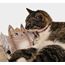4cats Xmas Collection Kattängel  Valeriana