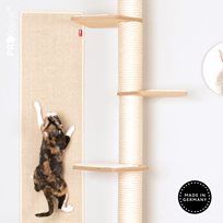 Wall - Climbing Carpet