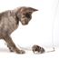 Profeline - Nibbles the Mouse Refill