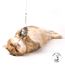 Profeline - Nibbles the WoolMouse Refill