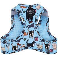 Step in kattsele Meuw Blue
