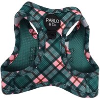 Step in kattsele Patchs Plaid