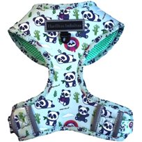 Kattsele Sweet Pandas