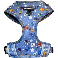 Kattsele Space World