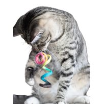 Kattleksak Vår Eco Toy spiral Regnbåge