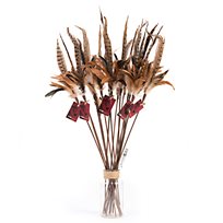 Profeline Federwedel / Cat Teaser Pheasant Feather