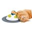 Cat It Senses Massage Center