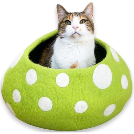 Eco Kitty Cave Mushroom Grön