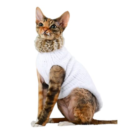 Moorspet Sphynx & Rex Kattsweater winter Vit