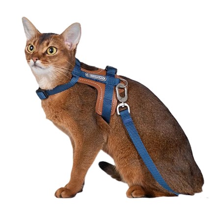 HiDream Leather Series kattsele Blå