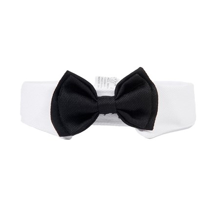 Fluga med krage katt Dubbel Svart