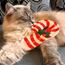 4cats Julkollektion Polkagris