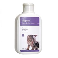 Kattschampo