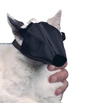 BUSTER munkorg katt
