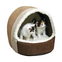 Kattigloo Amy