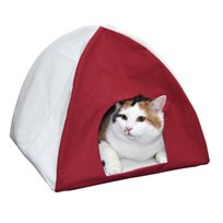 Kattigloo Tipi