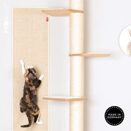 Wall - Climbing Carpet Sand