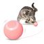 Interactive Cat Toy Ball Roll Pet 2.0