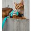 HiDream Leather Series kattsele Turkos