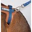 HiDream Leather Series kattsele Turkos