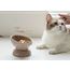Kattmatskål Ceramic Ädelruggad sluttande