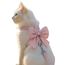 Kattsele Bowknot Rosa