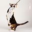 Kattvippa Glitzy Glitter