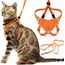 Outdoor Bengal Houdini Orange Medium