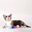 Wiggle Tail Ball with Plush Tail
