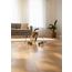 Kattleksak Katti Catnip ball