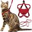 Outdoor Bengal Houdini Röd Medium