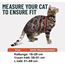 Outdoor Bengal Houdini Svart Kitten