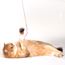 Profeline - Fluorescent Cat Wand Attachments Glowing Octopus
