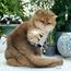 Profeline - Tickle Charms  2 Playful Cat Wand Attachments