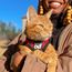 Travel Cat Komfortabel Kattsele Rutig Röd/svart