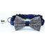 Katthalsand Rhinestones star Bow Blå