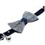 Katthalsand Rhinestones star Bow Blå