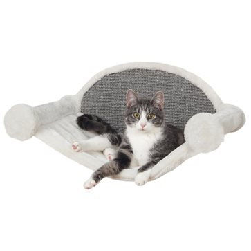 Väggsäng katt