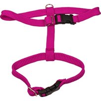 ALAC KATTSELE ROSA