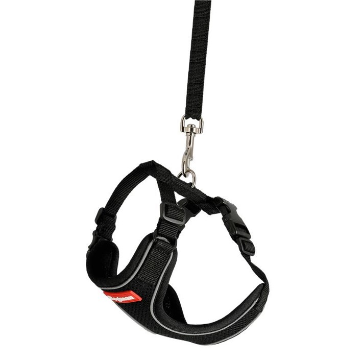 Air Mesh Set för Katt Svart