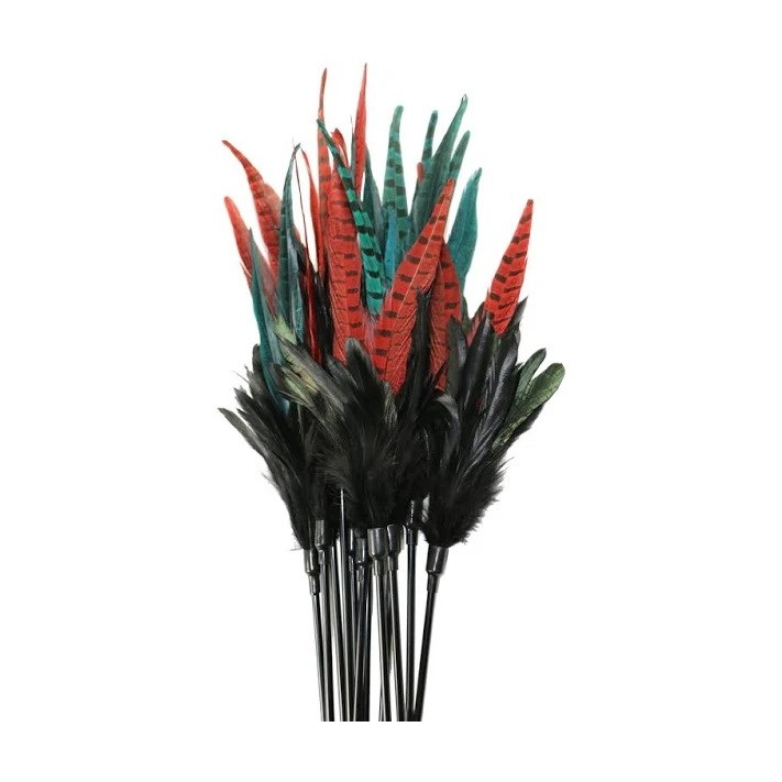 Kattvippa Mystic Long Feather 48cm
