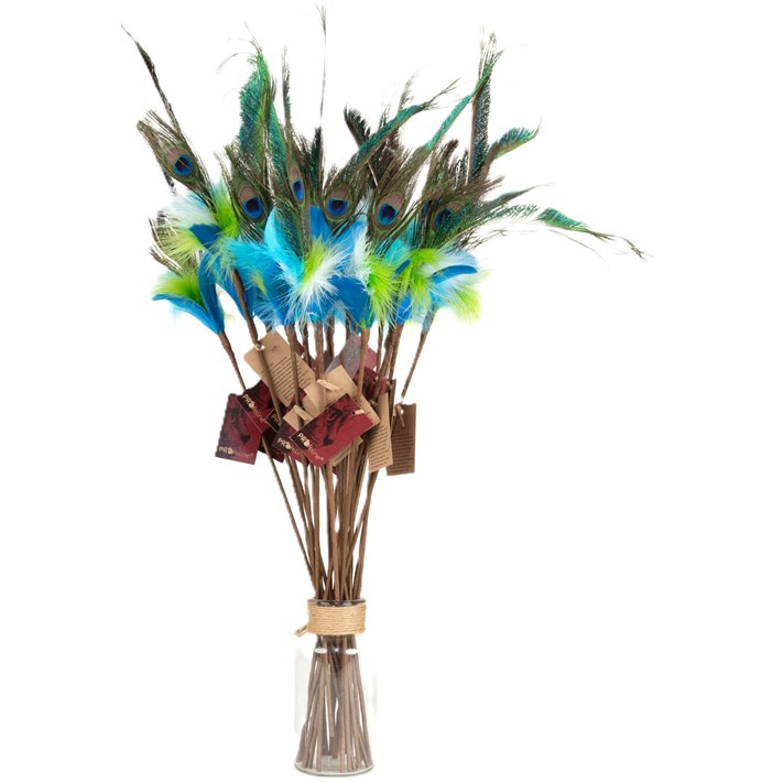 Profline Vippa Peacock Dancer