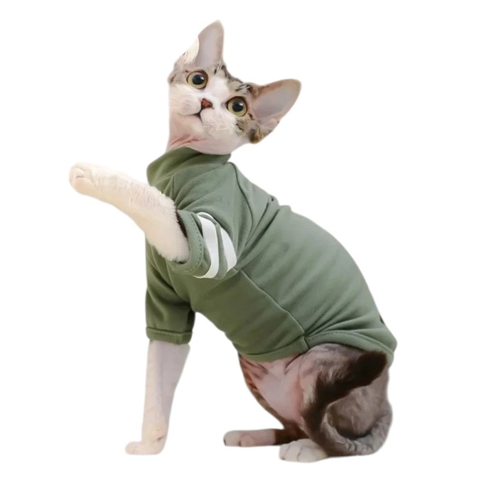 Moorspet Katttröja T-Shirt  Grön