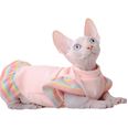 Cat Dress Rainbow Sleeves