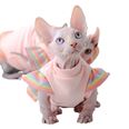 Cat Dress Rainbow Sleeves