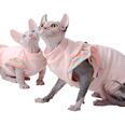 Cat Dress Rainbow Sleeves